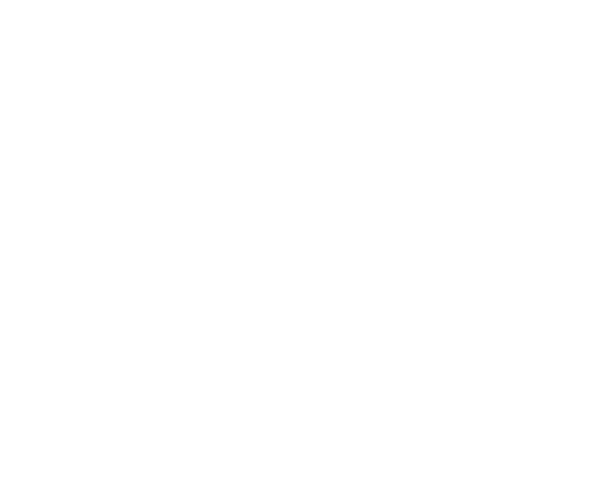 Plan Digital | Creative & Digital Agency UAE & KSA